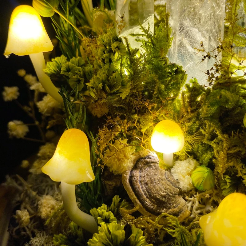 Lampka nocna w kształcie grzyb – Resin Art On Wood recenzja i cena